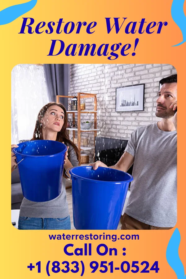 water restoration Direct Flood Mitigation Masters Ridgeville