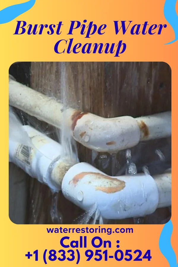 Burst Pipe Water Cleanup in Ridgeville, SC