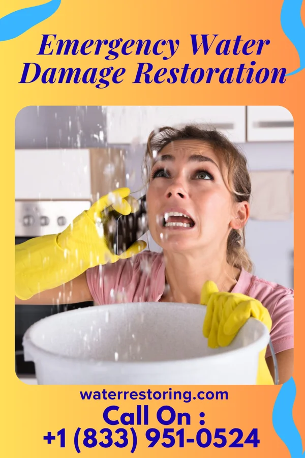 Emergency Water Damage Restoration in Ridgeville, SC