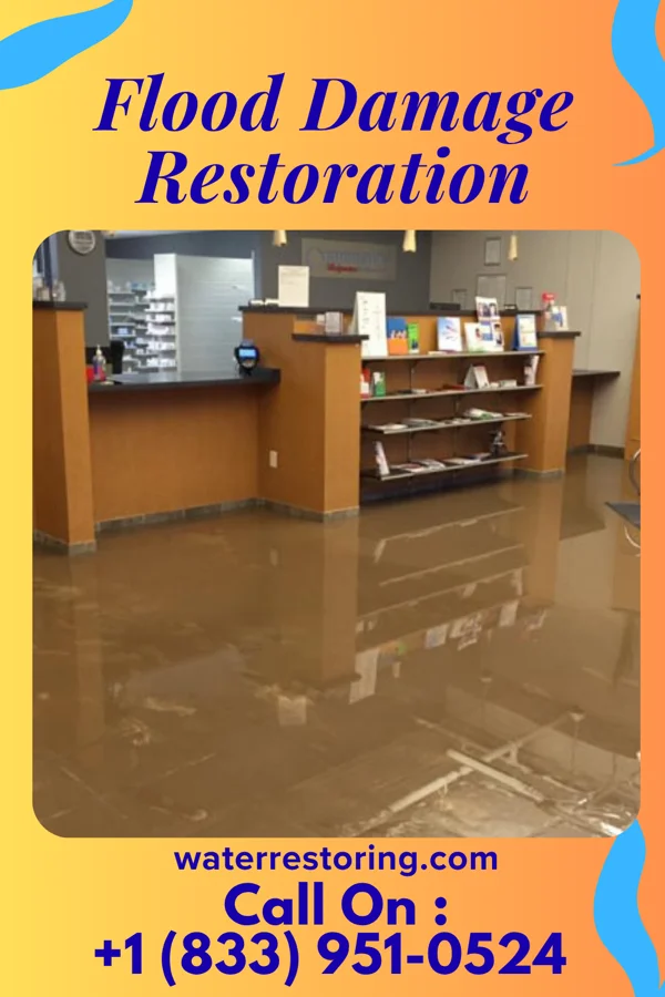 Flood Damage Restoration in Ridgeville, SC