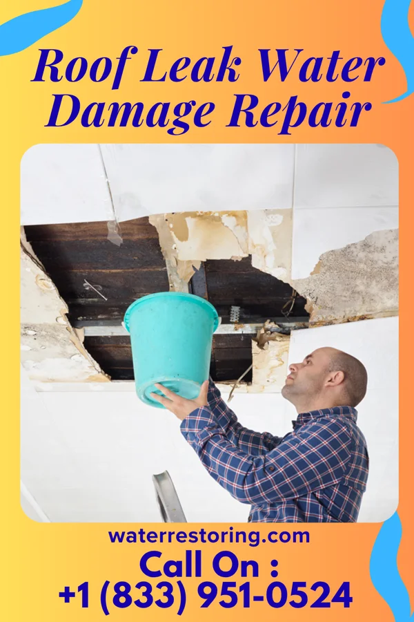 Roof Leak Water Damage Repair in Ridgeville, SC