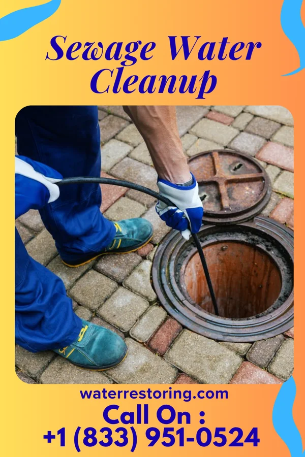 Sewage Water Cleanup in Ridgeville, SC