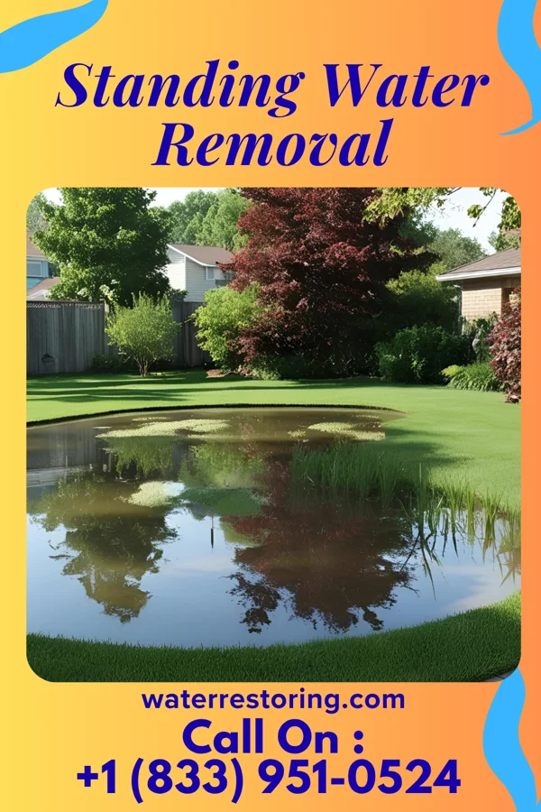 Standing Water Removal in Ridgeville, SC